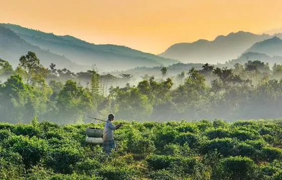 সিলেটের প্রাকৃতিক সৌন্দর্য